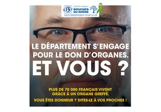 don organes 13 Copie