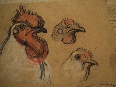 poules