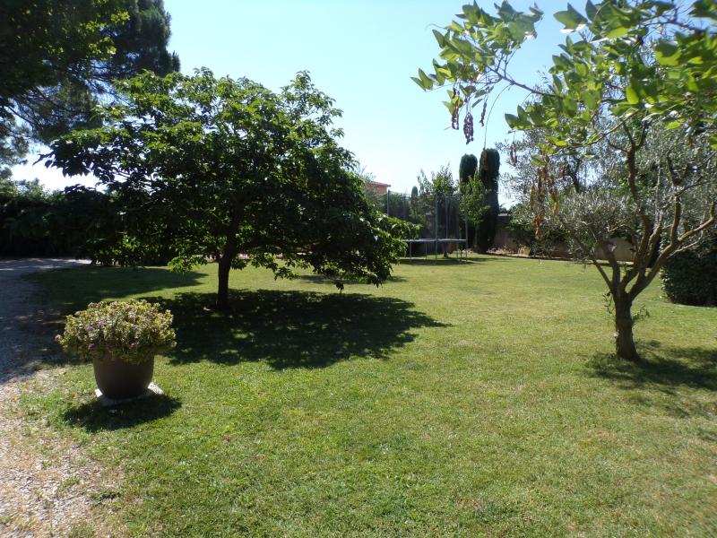 jardin-avec-trampoline